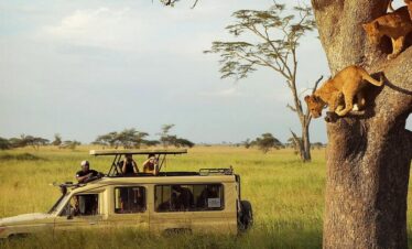guney-afrika-safari-macera-turlari