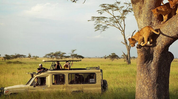 guney-afrika-safari-macera-turlari